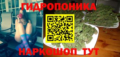 дурь Можга