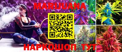 кокс Моздок