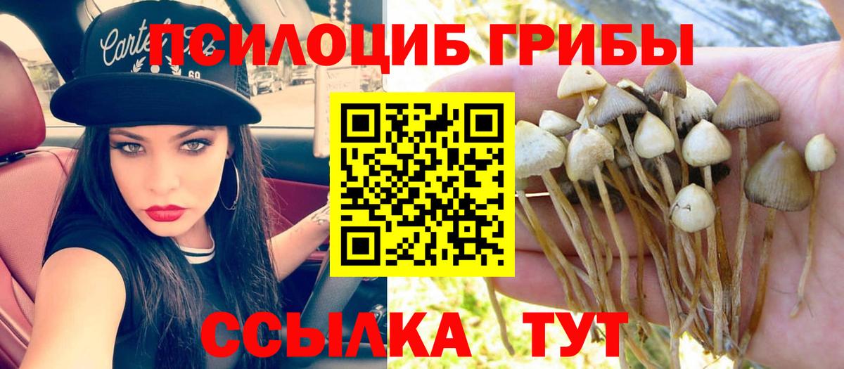 Псилоцибиновые грибы мухоморы Советск